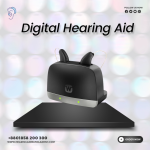 ARRDI/ABRDI STANDARD CHARGER WPT301 Hearing Aid Charger